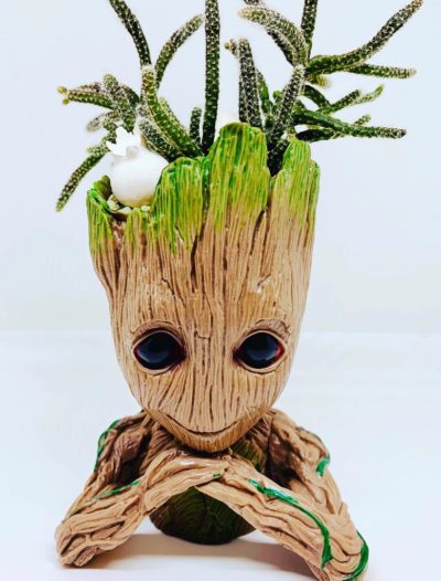 groot2